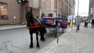 ギネス・ストアハウスに乗り付ける馬車