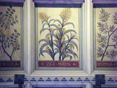 2階回廊手すり壁に描かれていた植物の絵