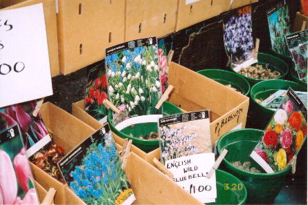 お花の種や球根を売るショップ